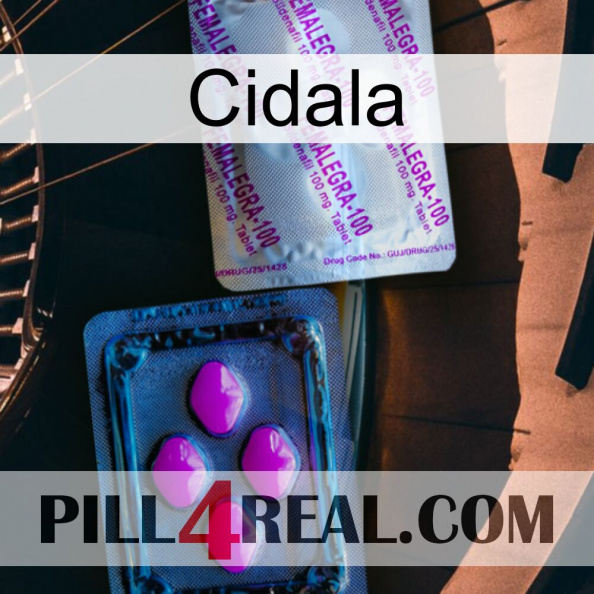 Cidala 37.jpg